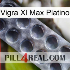 Vigra Xl Max Platinum 30